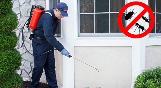 Yozgat Bit İlaçlama böcek ilaçlama ve haşere kontrolü — ilaclama-tr.com